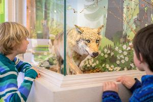 Forschen, spielen, Spaß haben